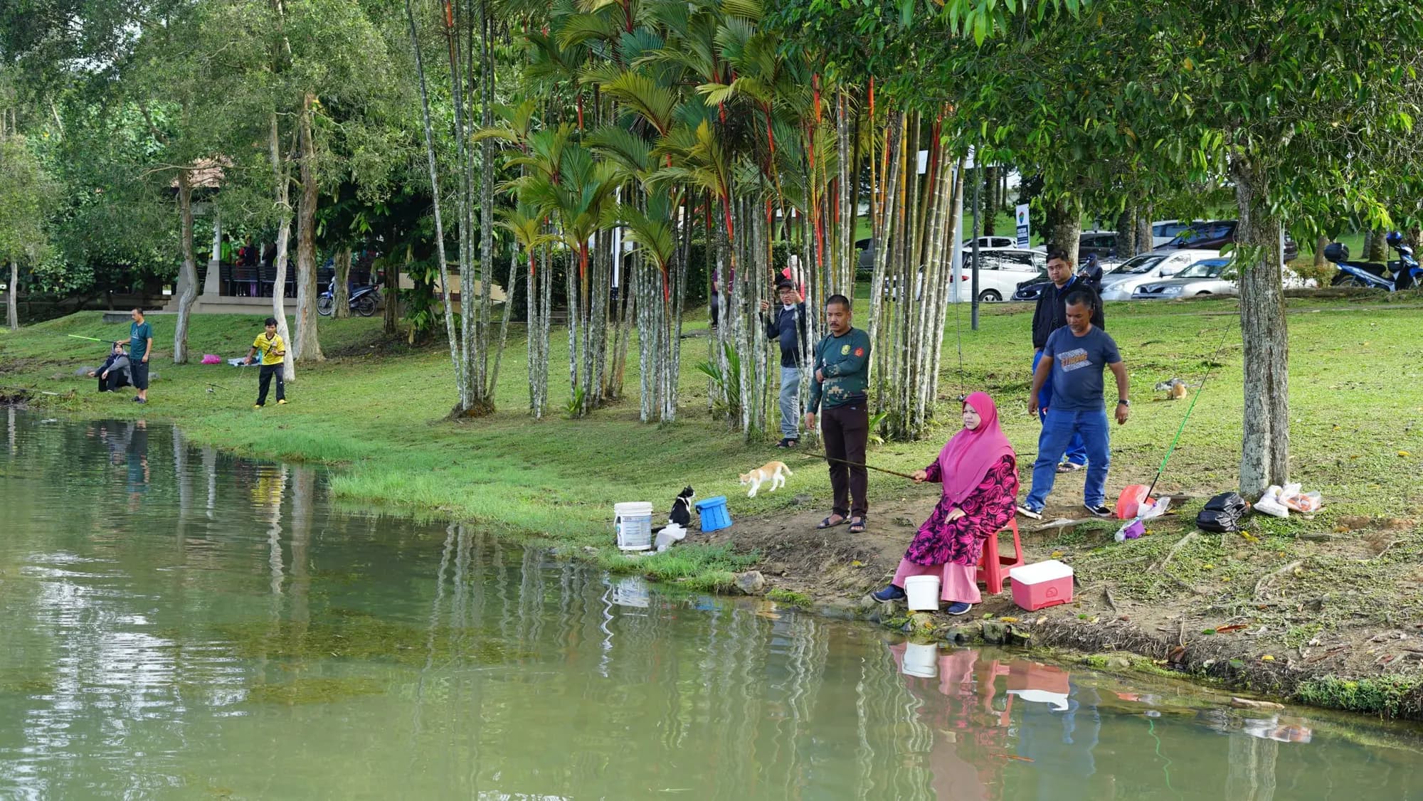 Family Day, photo 5
